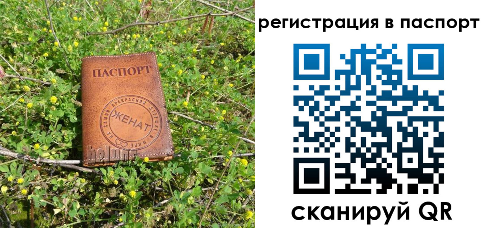 прописка для кредита в Сосенском